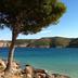 Altres