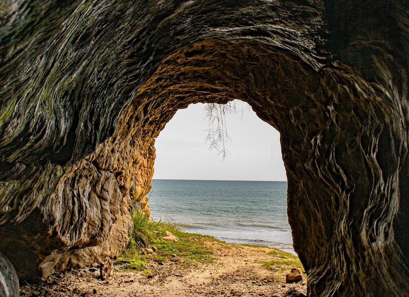Altres Foto