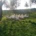 Altres
