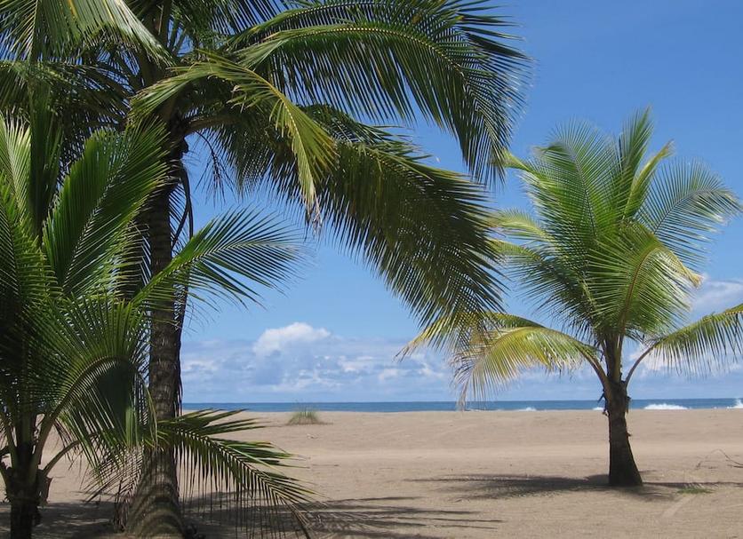 Platja Foto