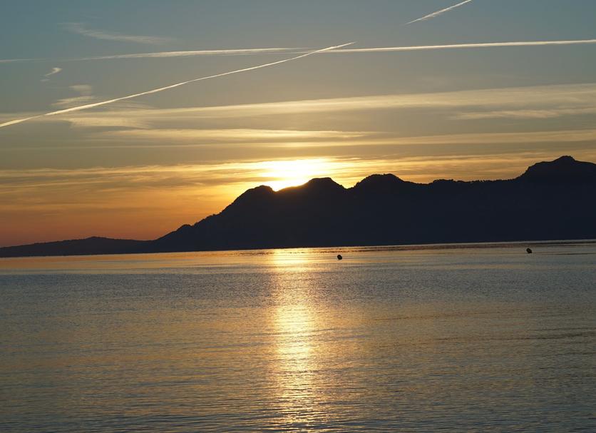 Altres Foto
