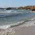Altres