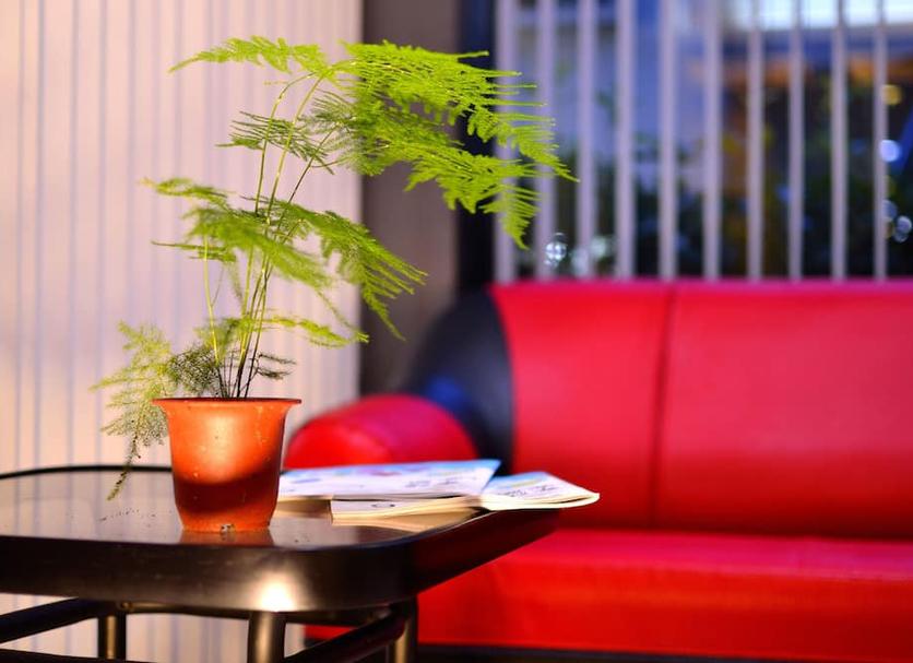 Serveis de l’habitació Foto