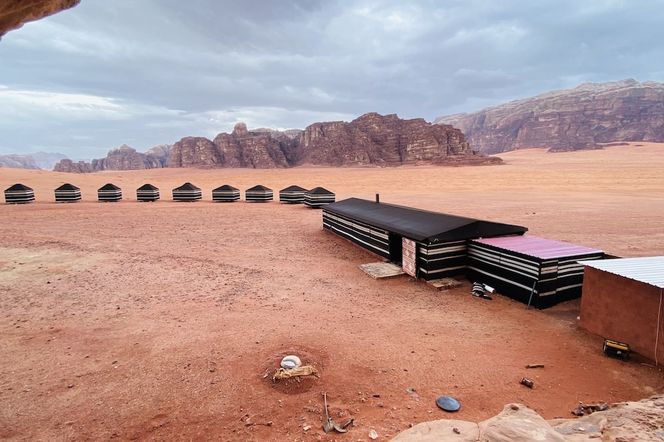 Desert Bird Camp