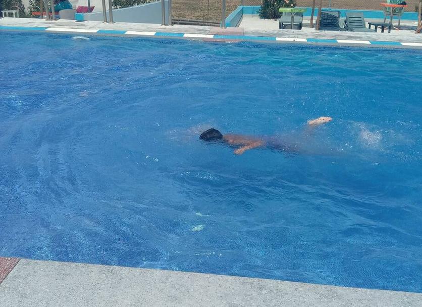 Altres Foto