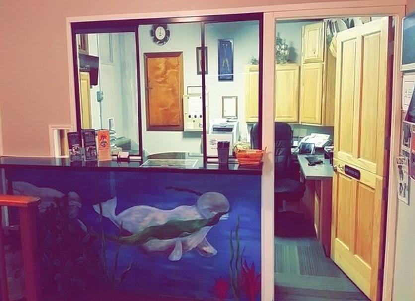 Recepció Foto