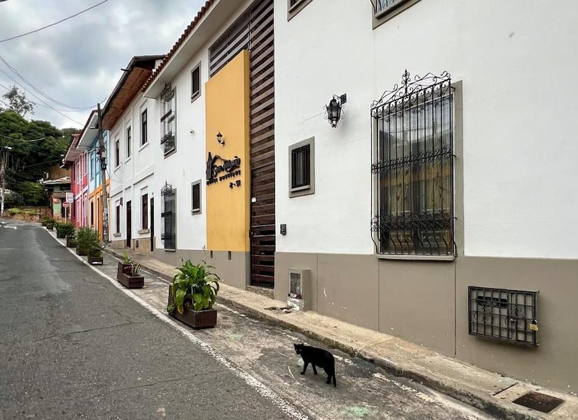 Edifici Foto