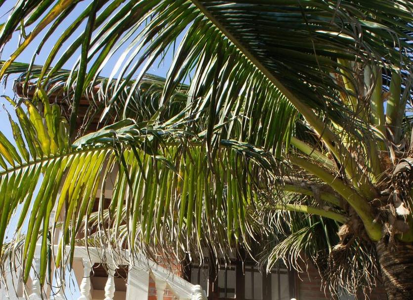 Vista exterior Foto