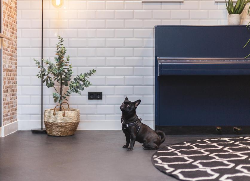 Serveis de l’habitació Foto