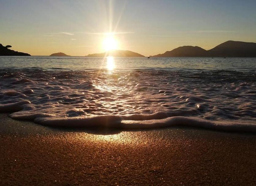 Altres Foto