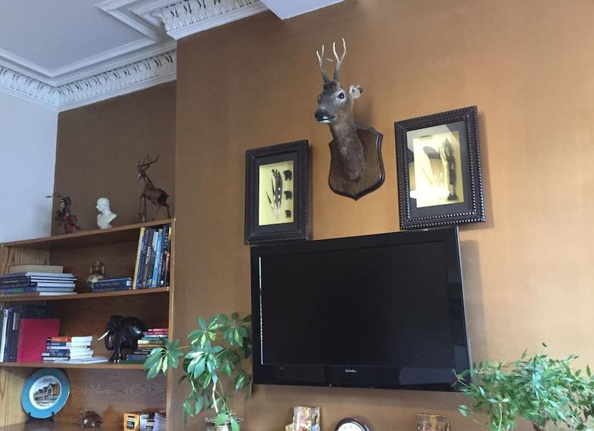 Serveis de l’habitació Foto