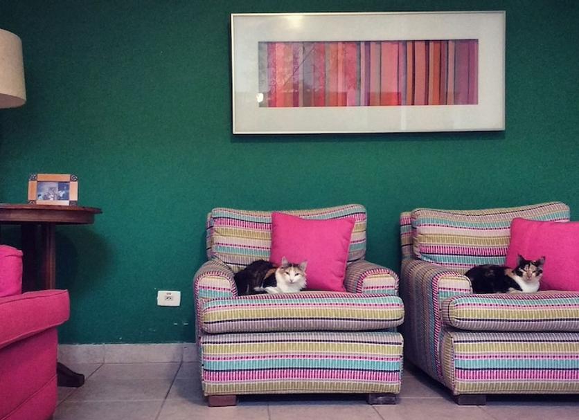 Sala Foto