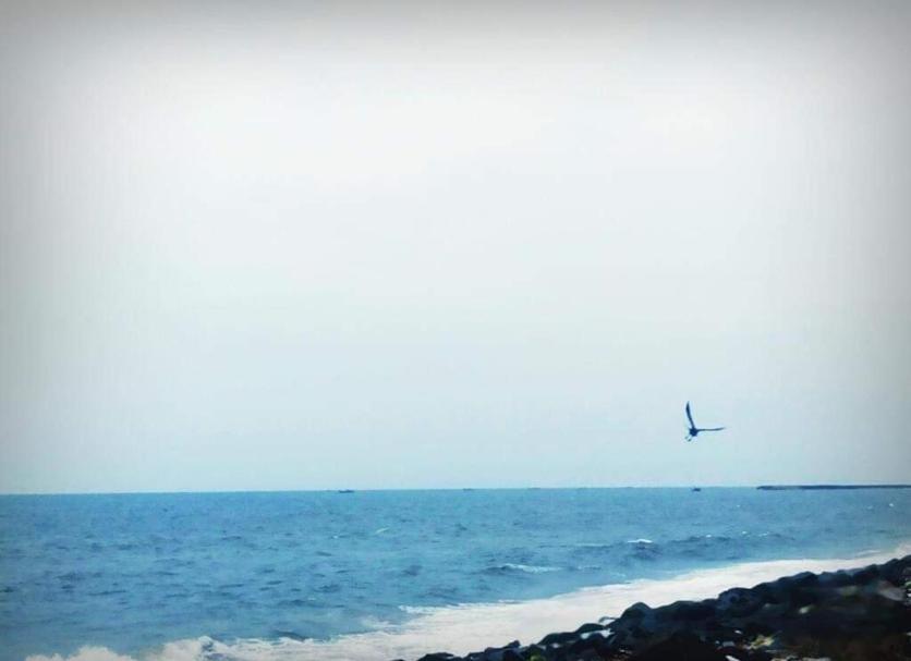 Altres Foto
