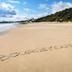 Platja