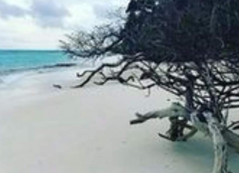 Platja Foto