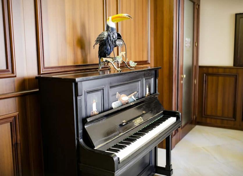 Serveis de l’habitació Foto