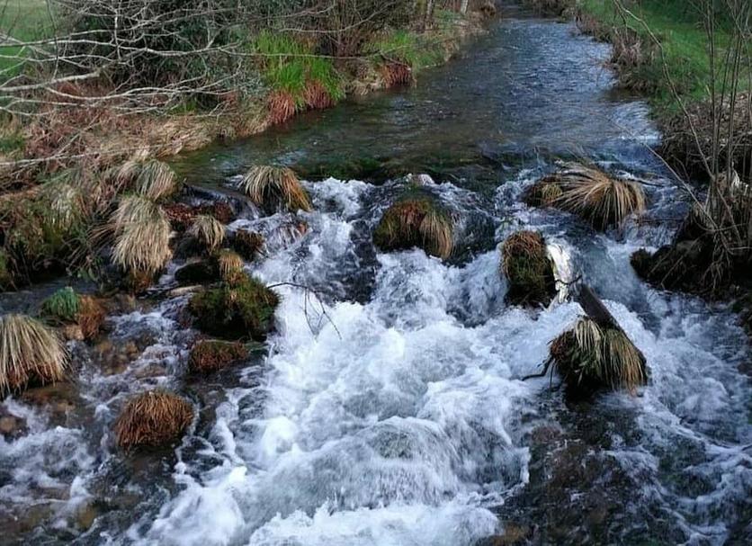 Altres Foto