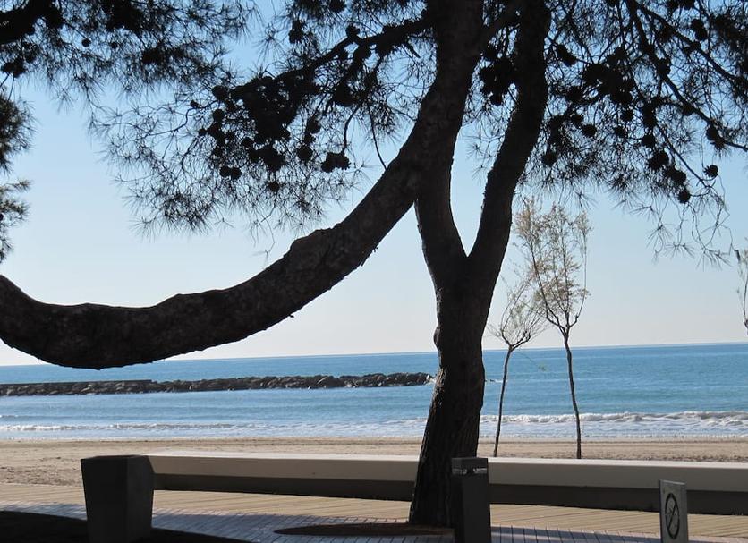Platja Foto