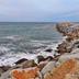 Altres