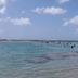 Altres