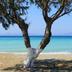 Platja