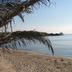 Platja