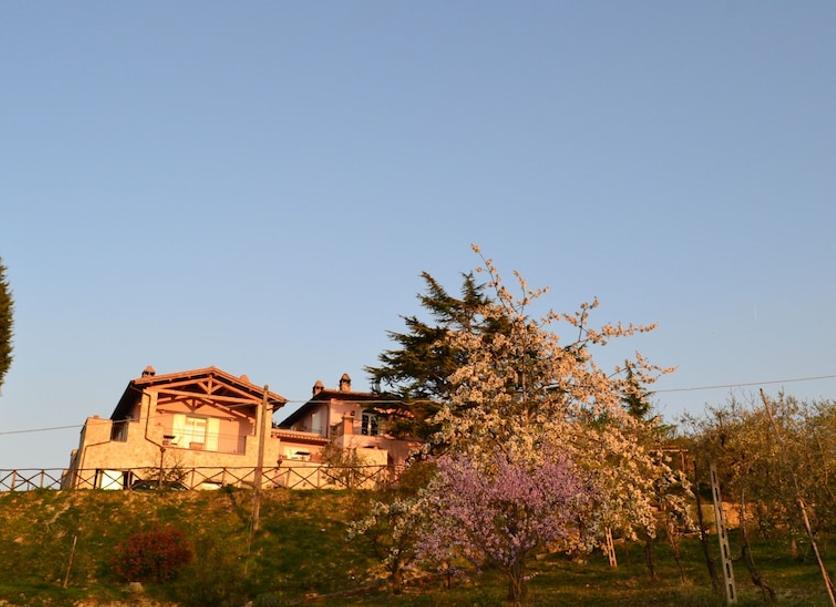 Vista exterior Foto