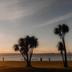 Platja