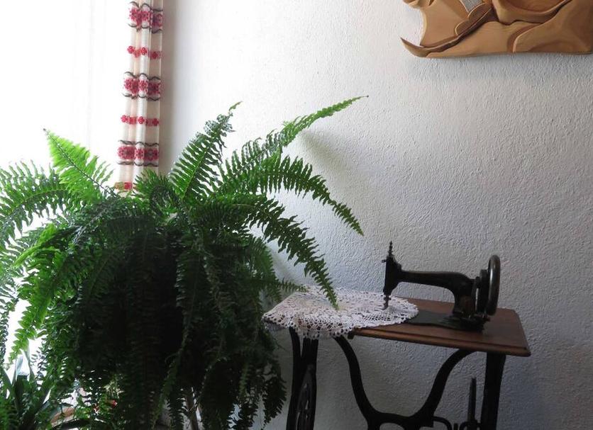 Serveis de l’habitació Foto