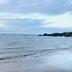 Altres