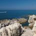 Altres
