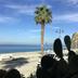 Platja