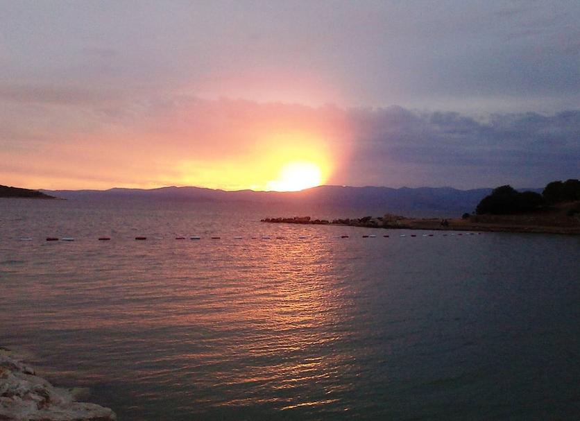 Altres Foto