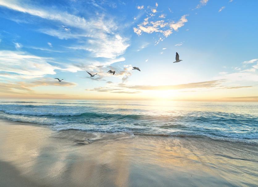 Platja Foto