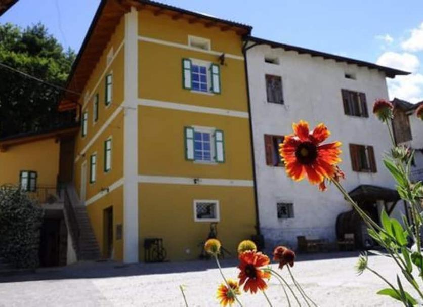 Edifici Foto