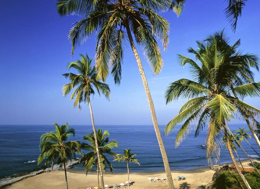 Platja Foto