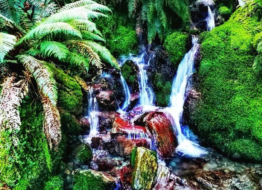 Altres Foto