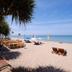 Platja