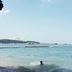 Altres