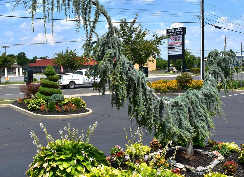Vista exterior Foto