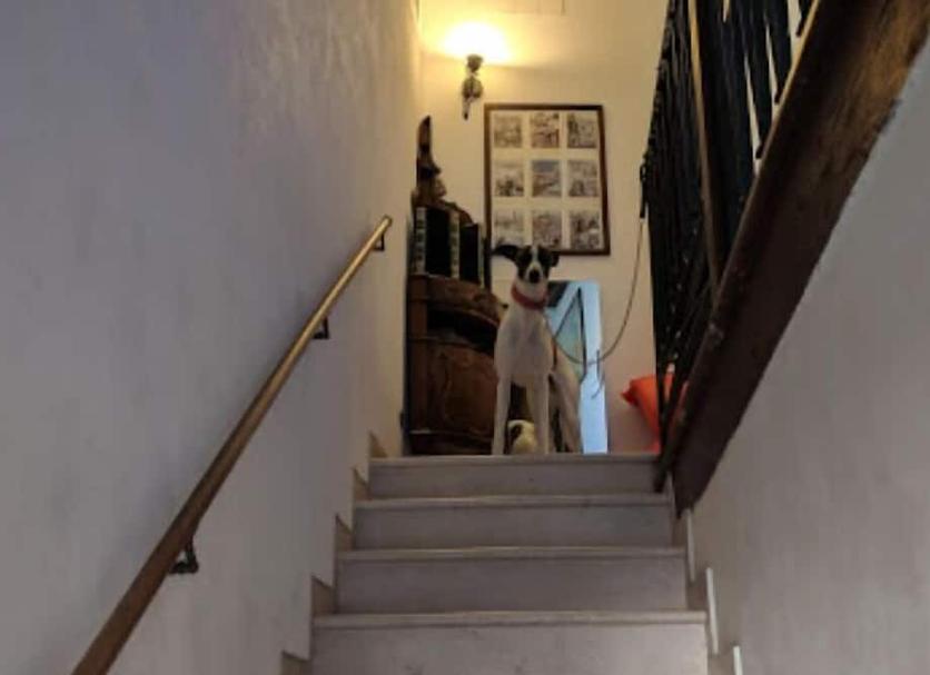 Escales Foto