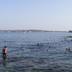 Altres