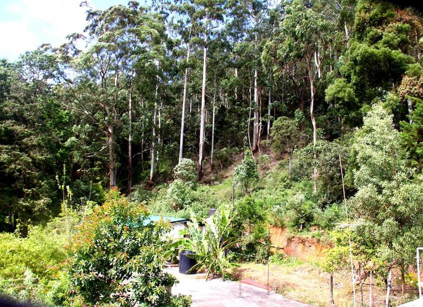 Vista exterior Foto