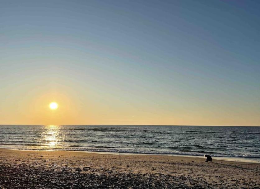 Platja Foto
