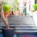 Escales