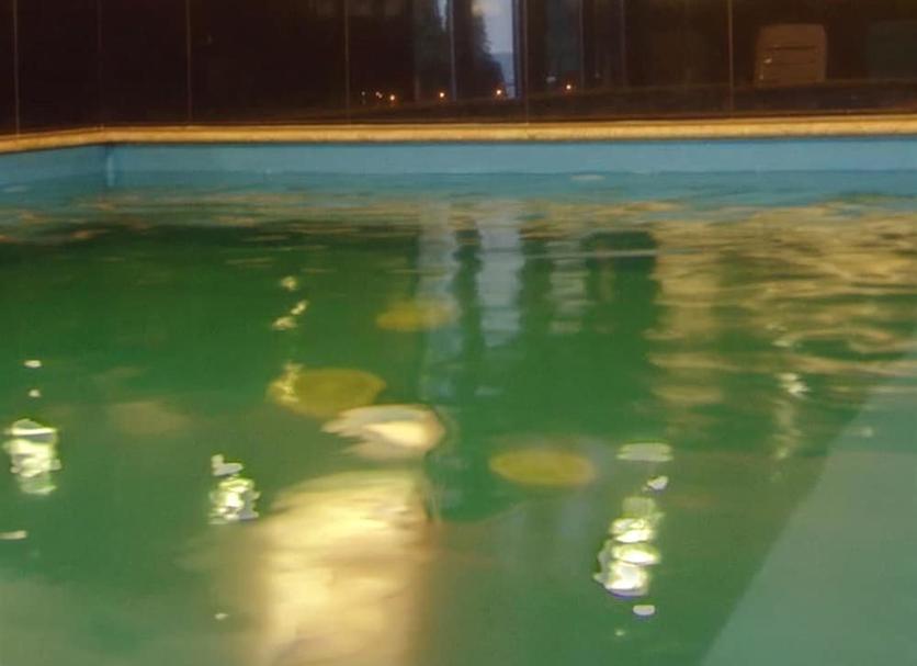 Pool Foto