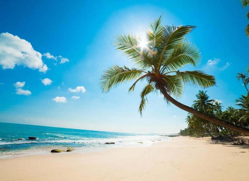 Platja Foto