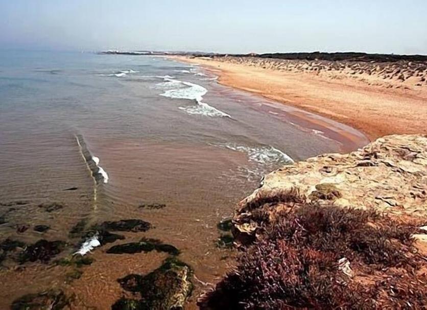 Platja Foto