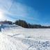 Altres