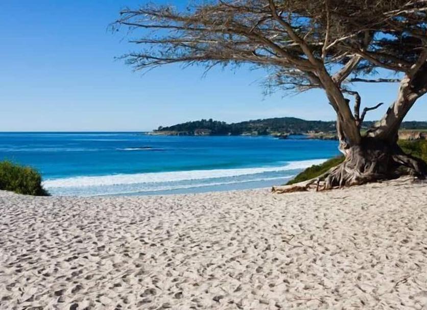 Platja Foto